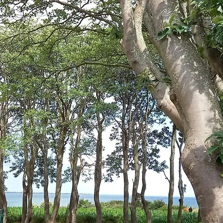 Nyaraló 8 Person In Sydals-by Traum Skovmose